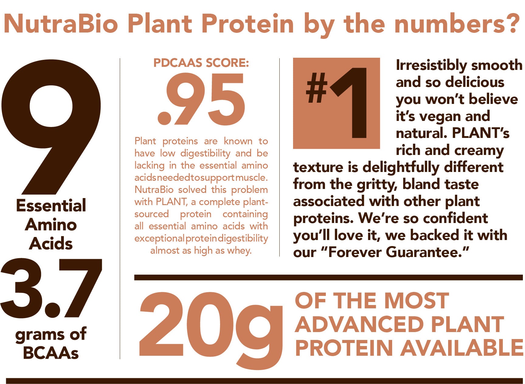 Nutrabio - Plant Protein 18 Servings